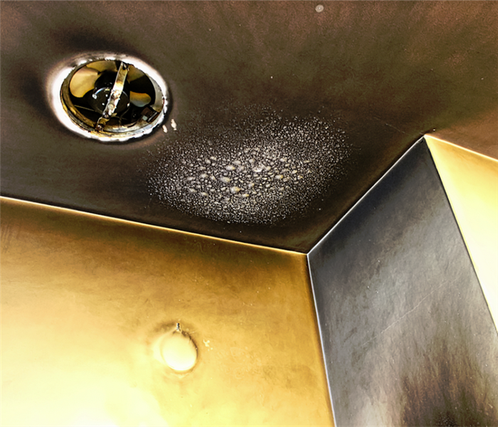 a fire damaged corner of a room with soot covering the walls