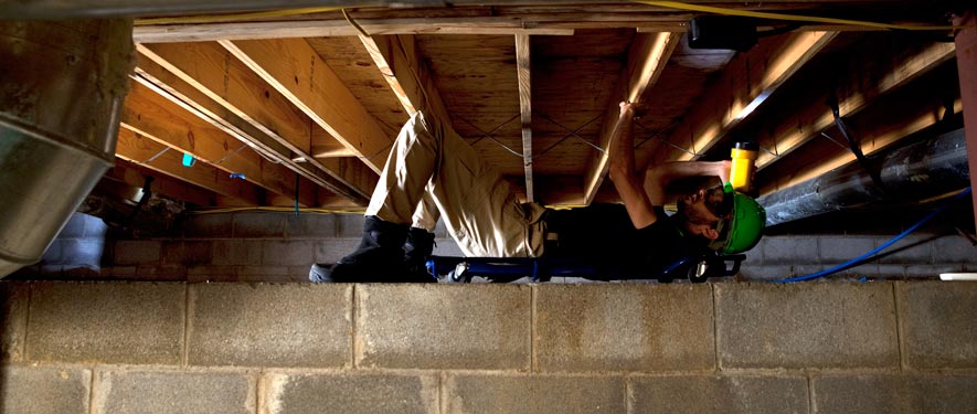 Peterborough, NH mold removal
