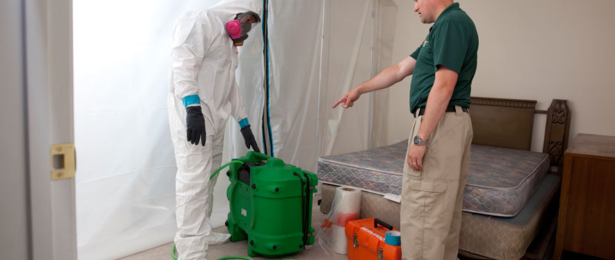 Peterborough, NH mold removal process